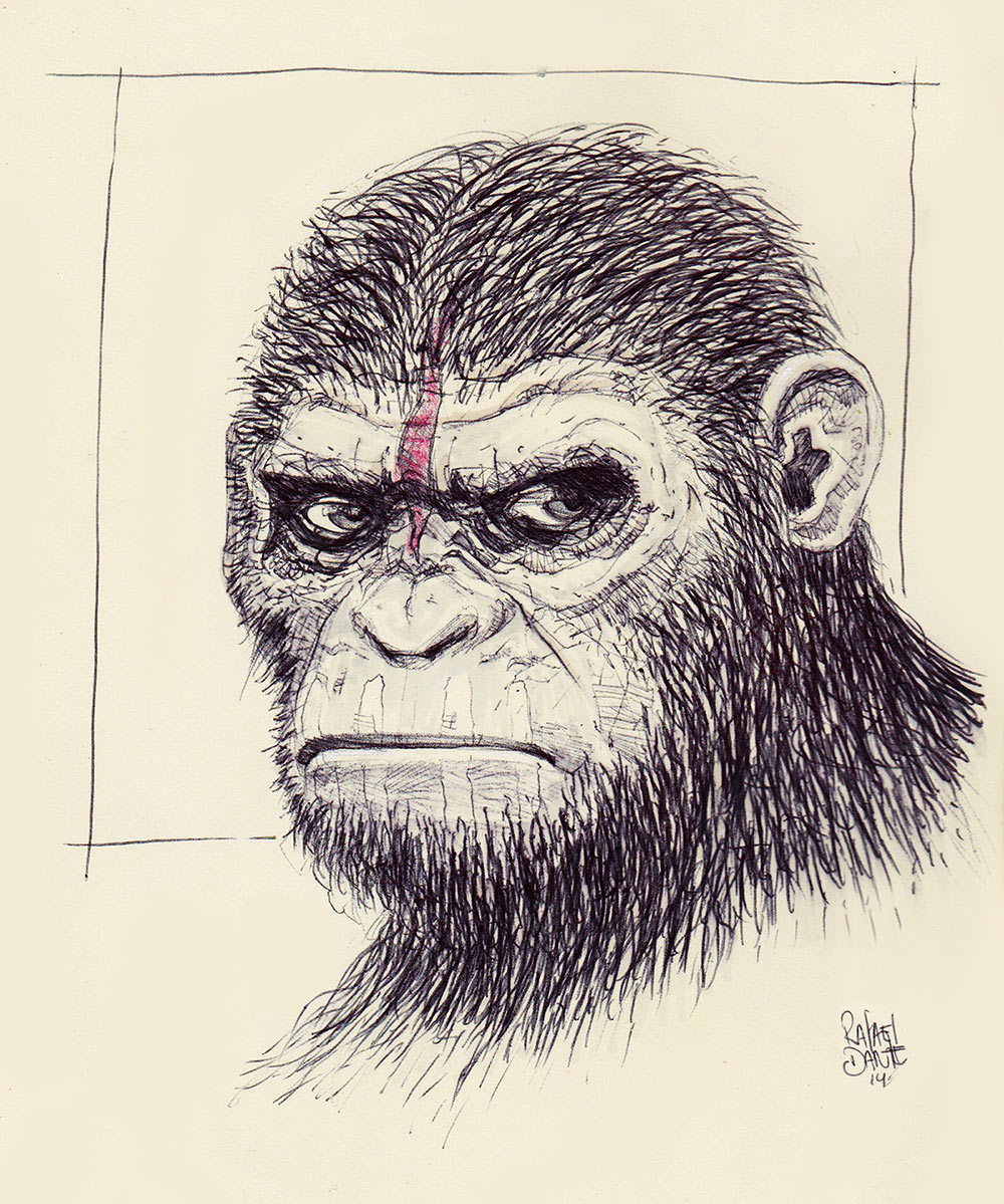 rafaeldante_monkey