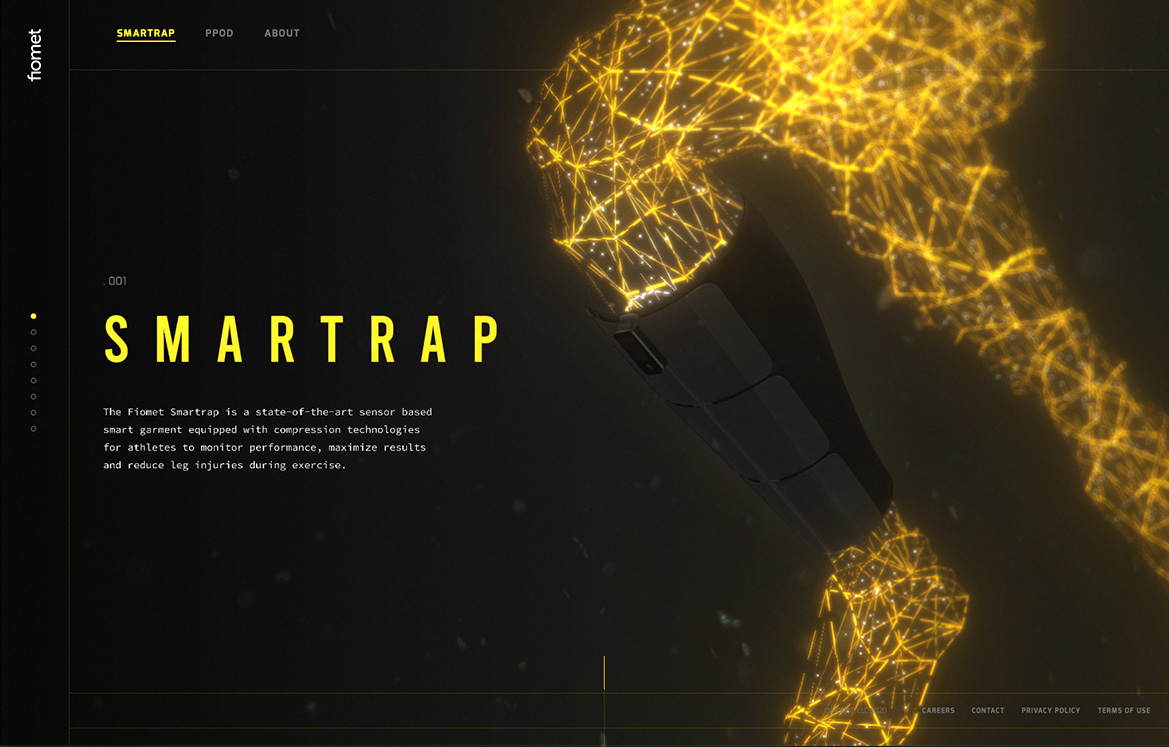 FWA_ Project Slide 1A