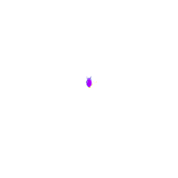 Rocket_v010